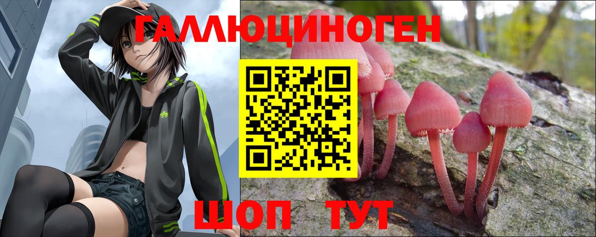 Галлюциногенные грибы GOLDEN TEACHER Прокопьевск