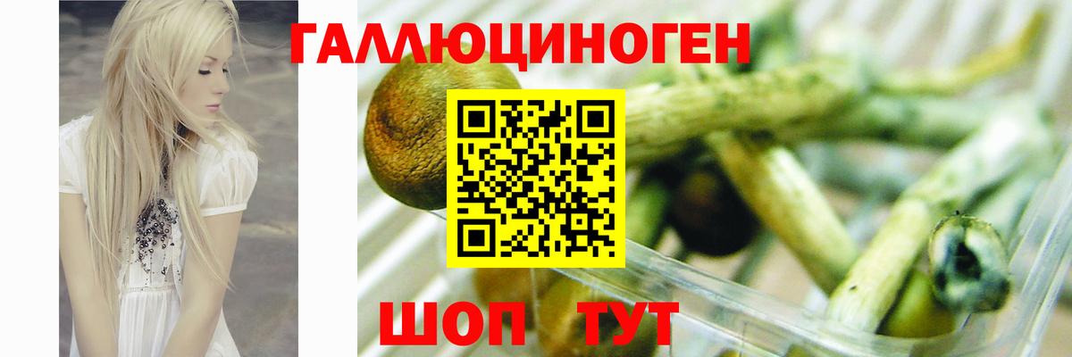 Прокопьевск  Галлюциногенные грибы прущие грибы  Псилоцибиновые грибы Psilocybine cubensis  Вход с VPN 